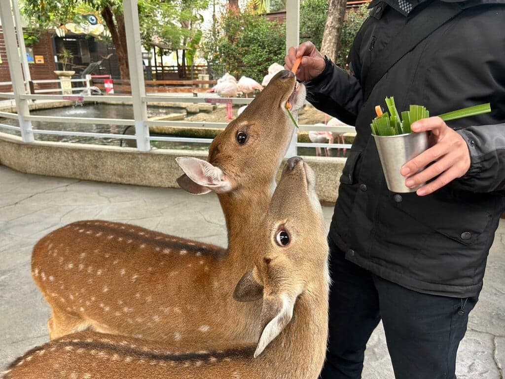 高雄親子農場 淨園農場 05
