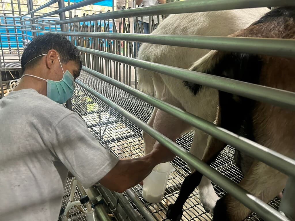 高雄親子農場 華一休閒農場 07