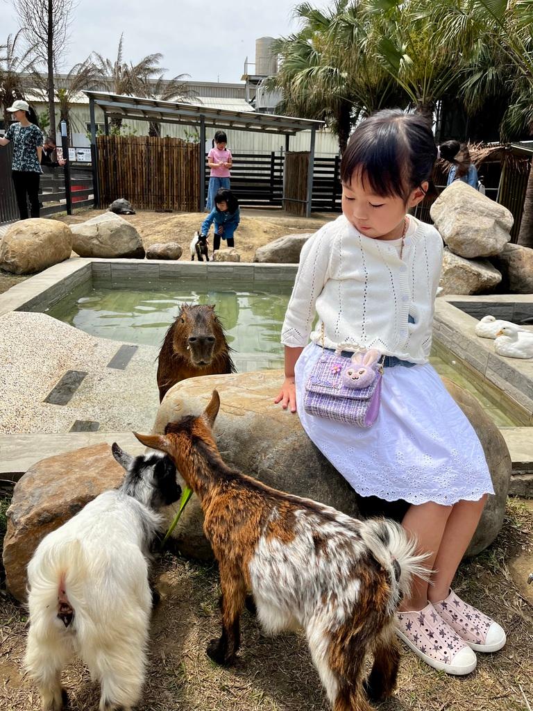 新竹親子農場 廢物媽媽育兒農場 04