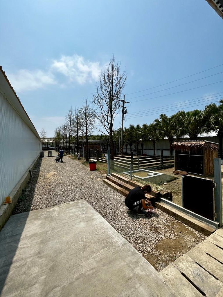 新竹親子農場 廢物媽媽育兒農場 05