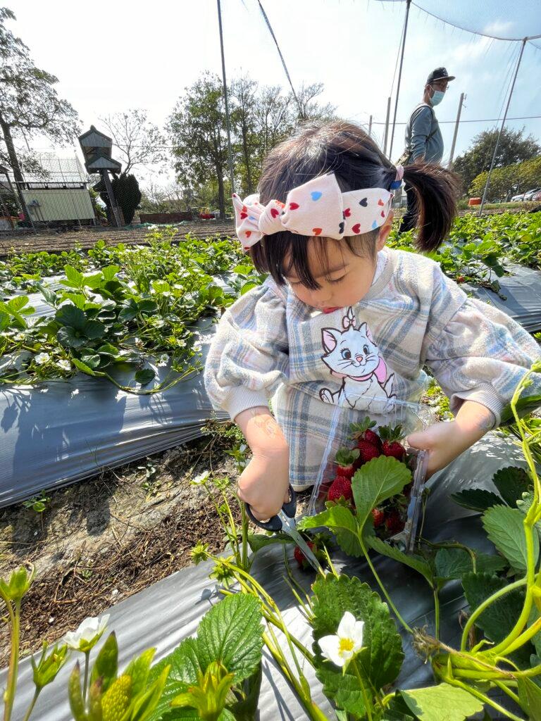 新竹親子農場 Go Bear 溝貝親子休閒農莊 01