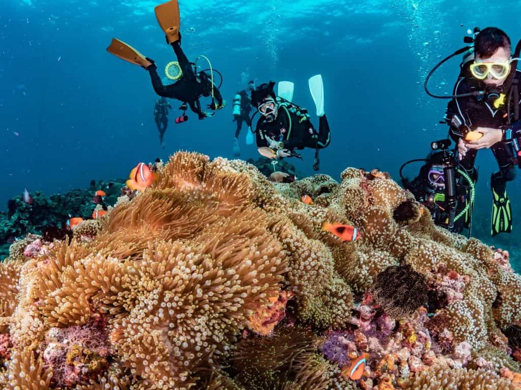 Long Dong (Dragon caves) Snorkeling Experience - Ofucos 歐夫寇斯