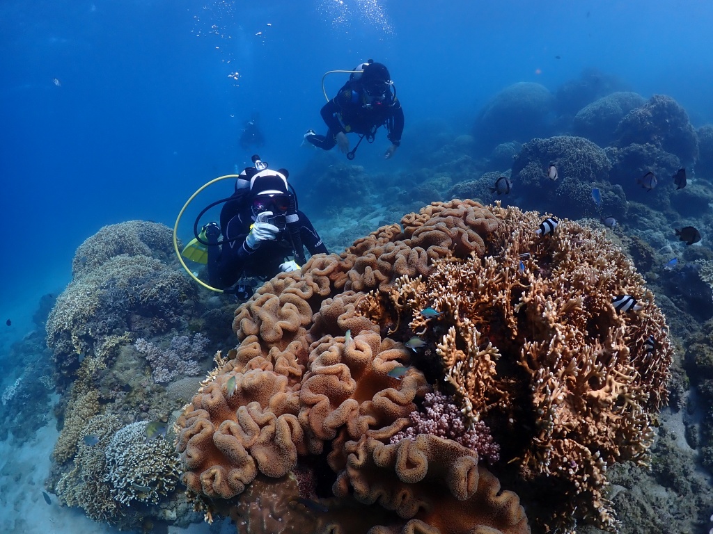 【墾丁潛點推薦懶人包】水肺自潛浮潛地點全攻略！11 大必去墾丁潛水點 17