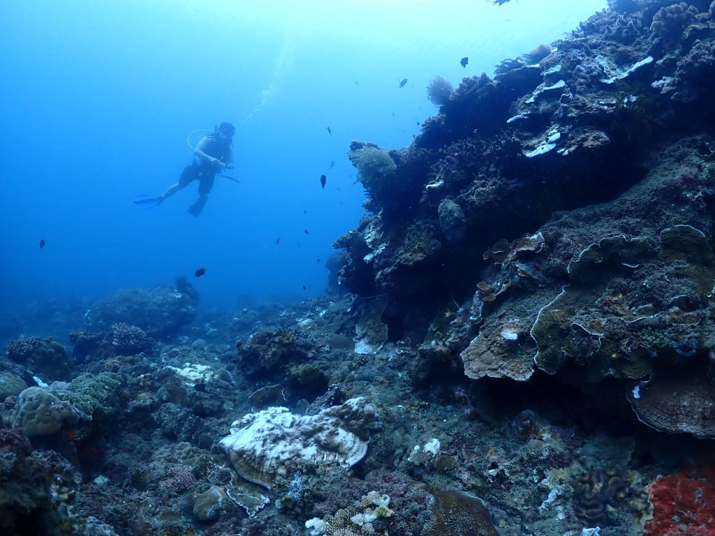 【墾丁潛點推薦懶人包】水肺自潛浮潛地點全攻略！11 大必去墾丁潛水點 13