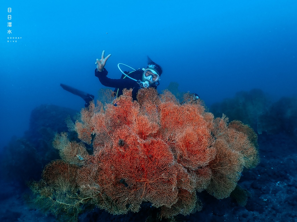 【澎湖潛點推薦懶人包】8 大澎湖潛水點，水肺、自潛、浮潛，三種玩法一次滿足 1