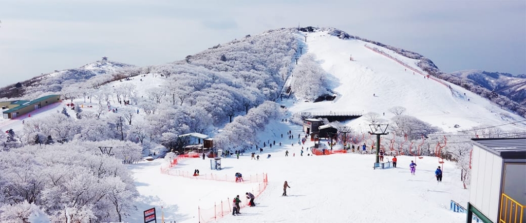 【大阪滑雪懶人包】京都、滋賀、兵庫熱門雪場，14 間最佳大阪滑雪一日遊雪場 3